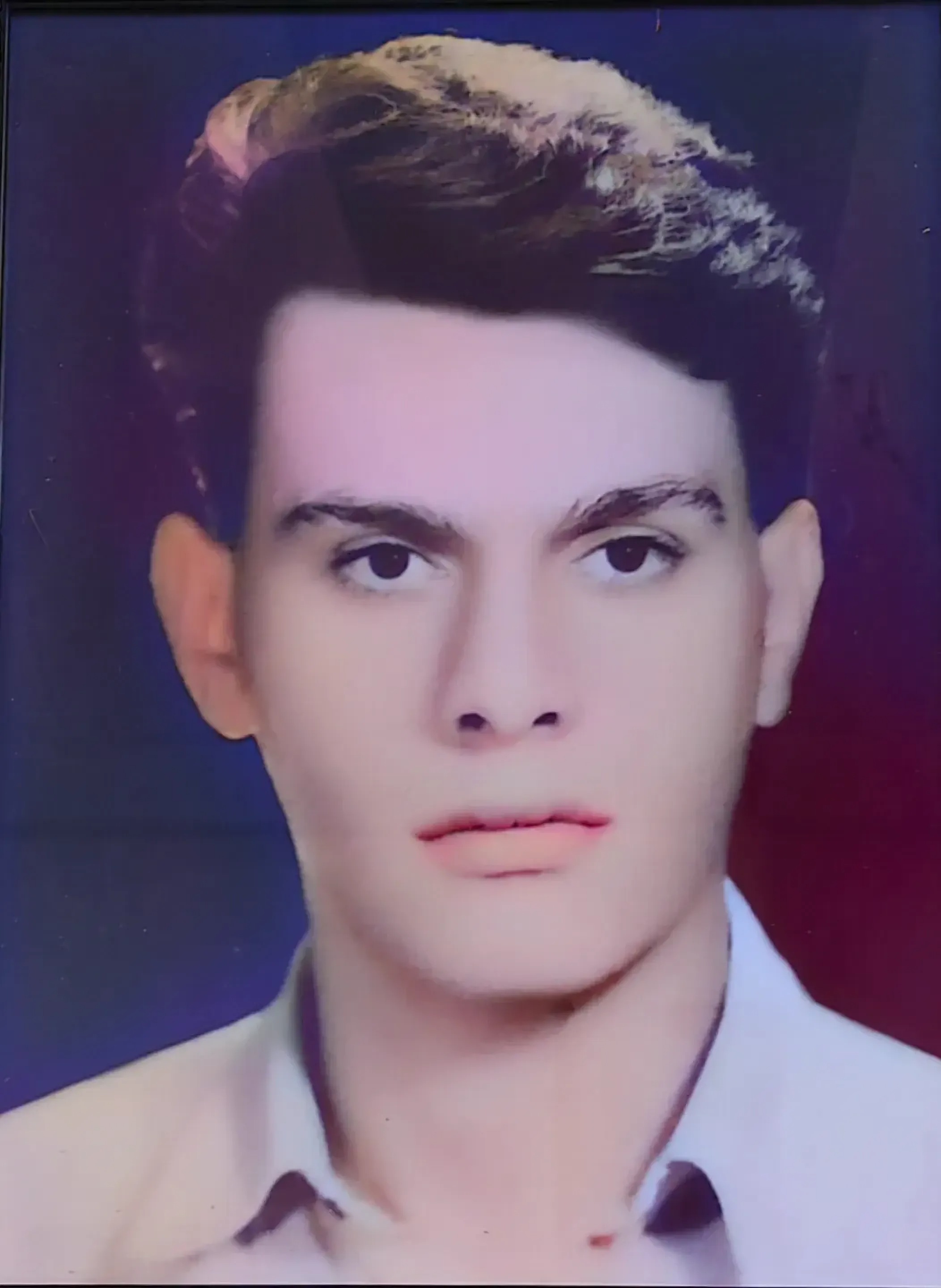 شروین شکوهی